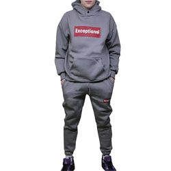 Мужской костюм с капюшоном и начесом цвет Серый размер 52 M98024N