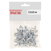 Заклепки в пакете 3,2х6 мм Практик