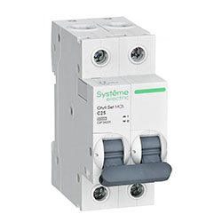 Автоматический выключатель 2п С 25А 4.5kA 230В City9 C9F34225 Systeme Electric