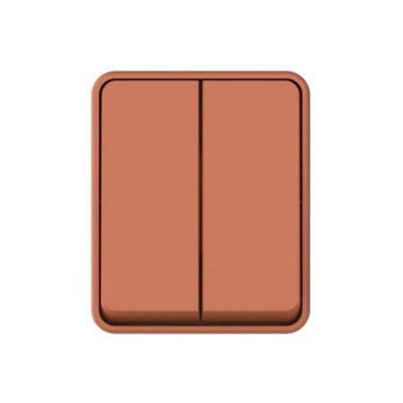 Картинка Выключатель 2 клавиши IP54 10 АХ Терракотовый  Systeme Electric ATLASDESIGN Profi54