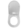 Картинка Сиденье для унитаза дюропласт микролифт Esfera Selena E111WG