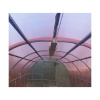 Картинка Сотовый поликарбонат GreenHouse-nano для теплиц Прозрачно-розовый 6000х2100х4 мм