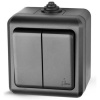 Выключатель 2 клавиши ОП Dita IP54 10А 250В Карбон TOKOV ELECTRIC