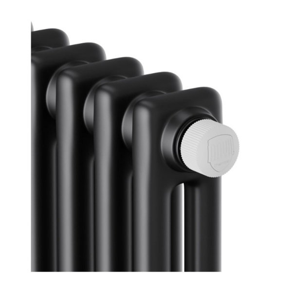 Картинка Трубчатый дизайн-радиатор 4 секции Черный 8 м² Royal Thermo Insignia VC2180