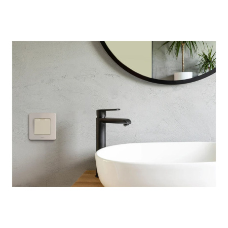 Картинка Розетка с заземлением IP 44 с крышкой и шторками Слоновая кость Legrand INSPIRIA