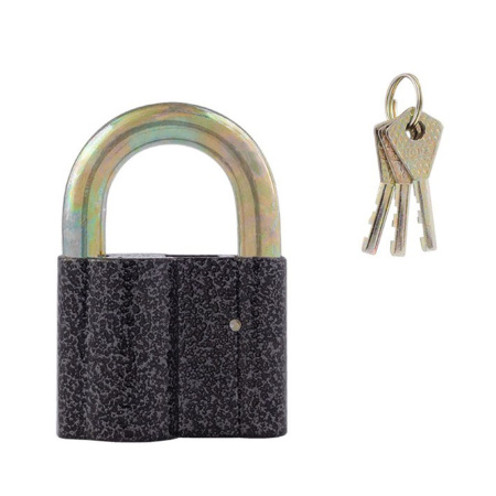 Картинка Замок навесной мастер ключ 419-60 тип 1