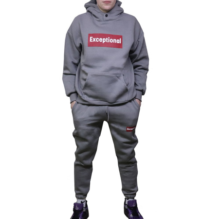 Мужской костюм с капюшоном и начесом цвет Серый размер 56 M98024N