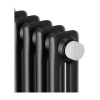 Картинка Трубчатый дизайн-радиатор 6 секции Черный 12 м² Royal Thermo Insignia VC2180