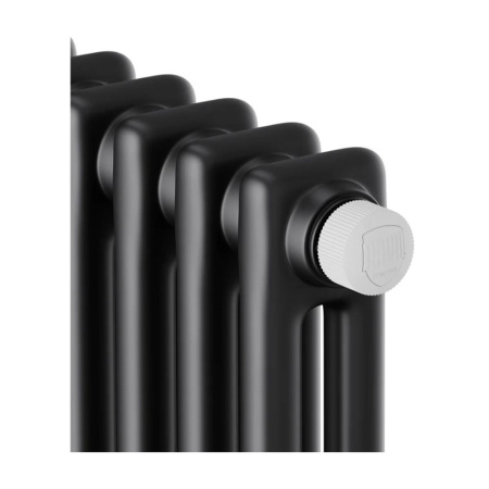 Картинка Трубчатый дизайн-радиатор 6 секции Черный 12 м² Royal Thermo Insignia VC2180