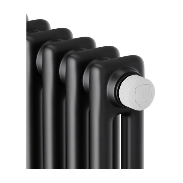 Картинка Трубчатый дизайн-радиатор 6 секции Черный 12 м² Royal Thermo Insignia VC2180