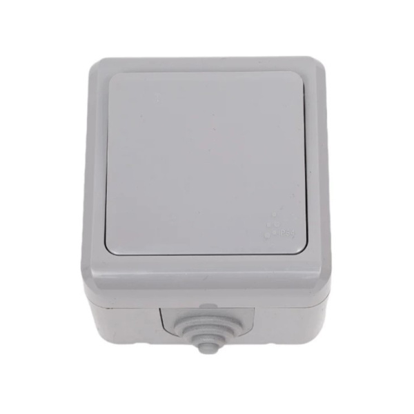 Картинка Выключатель 1 клавиша ОП Dita IP54 10А 250В Серый TOKOV ELECTRIC
